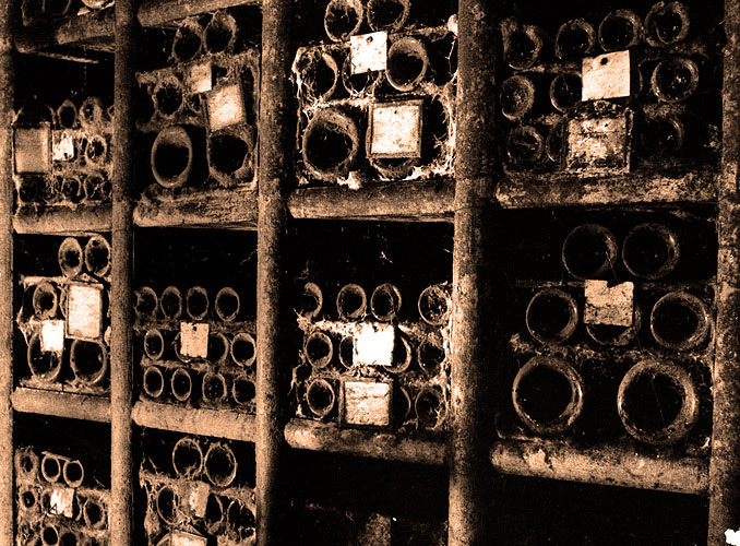 <p>La Vinothèque conserve les millésimes pour la postérité : 24 bouteilles, 6 magnums et 3 jéroboams de Mouton Rothschild y sont déposés chaque année. La plus ancienne bouteille étant un millésime 1859.</p>
