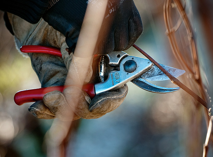 <p>Souvent, les hommes et les femmes qui « font » Mouton se succèdent de génération en génération, se transmettant un savoir-faire ancestral qui s’enrichit, au fil des ans, de l’apport des techniques les plus modernes. <b></b></p>
