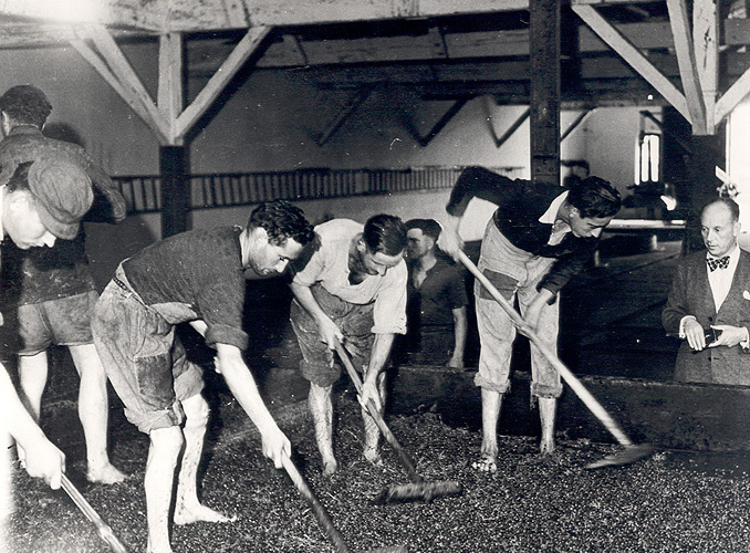 <p>Château Mouton Rothschild, année 1930 : le baron Philippe assiste au foulage du raisin.</p>
