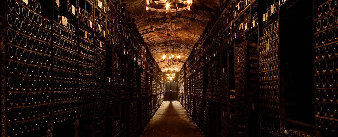 Conditions in the cellars are ideal for keeping wine, with a constant temperature between 12° and 15°, a humidity level between 80% and 90% and little or no light. 