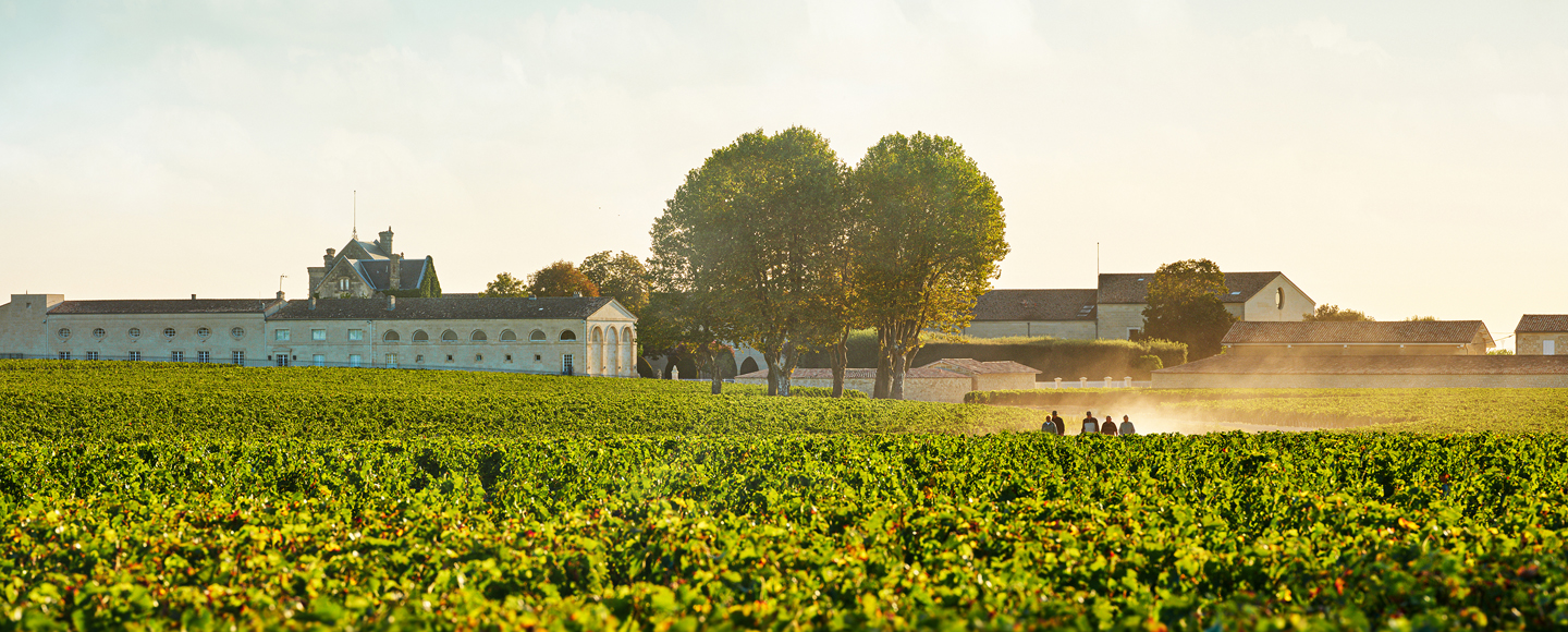 Château Mouton Rothschild à Pauillac, Médoc