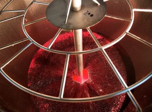 Mouton Rothschild remontage cuvier fermentation jus vin raisin vinification