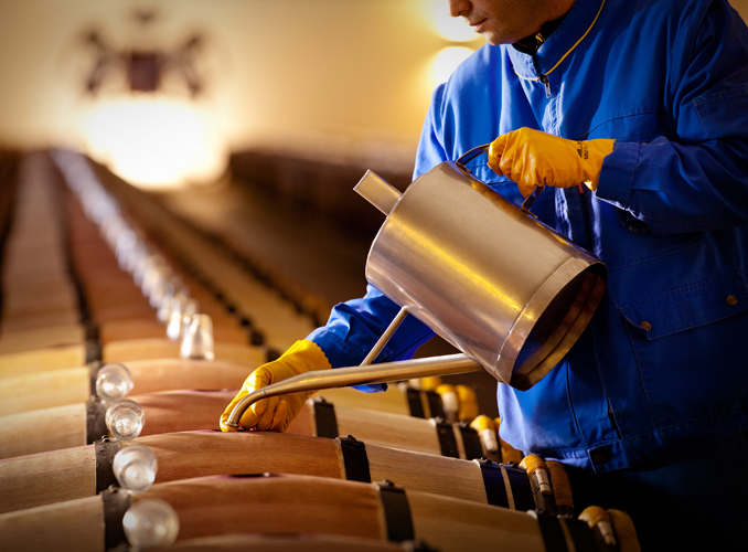 <p>Après la vinification, l’élevage s’opère dans des barriques de chêne neuves, et ses différentes étapes se déroulent dans le grande tradition médocaine : notamment l’ouillage, et le collage au blanc d’oeuf, qui vise à clarifier et stabiliser le vin en favorisant la précipitation des particules qui s’y trouvent en suspension.</p>
