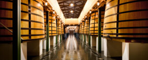 Le cuvier gravitaire de Mouton Rothschild